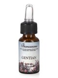 Gentian - Fiori di Bach