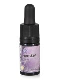 Gentian - Soluzione Madre