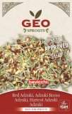Germogli di Adzuki Rosso Bio