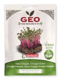 Germogli di Bieta Chioggia Bio - Geo Microgreens