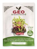Germogli di Bieta Rossa Ruby Red Bio - Geo Microgreens