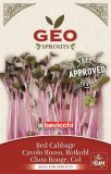 Germogli di Cavolo Rosso Bio