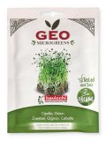 Germogli di Cipolla Bio - Geo Microgreens