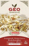 Germogli di Fieno Greco