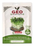 Germogli di Komatsuna Rosso Bio - Geo Microgreens