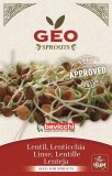 Germogli di Lenticchia