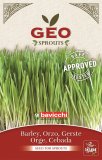 Germogli di Orzo