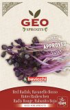 Germogli di Ravanello Rosso Biologico