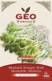 Germogli di Senape