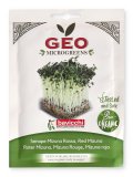 Germogli di Senape Mizuna Bio - Geo Microgreens