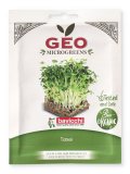 Germogli di Tatsoi Bio - Geo Microgreens