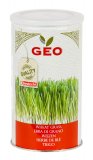 Germogli