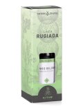 Ginkgo Biloba