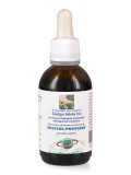Ginkgo Biloba Bio - Estratto Idroalcolico