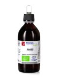 Ginkgo Biloba - Macerato di Pianta Fresca Bio