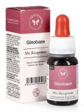 Ginobase - Mix Basegemmo