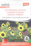 Semi di Girasole Primrose
