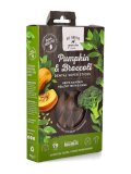 Go Native Dental Snack Zucca e Broccoli per Cani