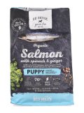 Go Native Puppy Salmone Biologico e Spinaci per Cuccioli