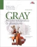 Gray — Libro
