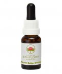 Green Spider Orchid - Fiori australiani - 15 ml