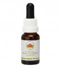Grey Spider Flower - Fiori australiani - 15 ml
