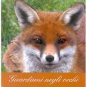 Guardami negli Occhi — Libro