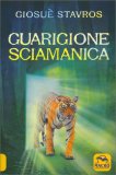 Guarigione Sciamanica — Libro