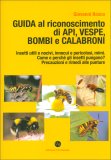 Guida al Riconoscimento di Api, Vespe, Bombi e Calabroni — Libro