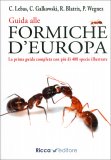Guida alle Formiche d'Europa — Libro