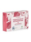 Haematococcus Astaxantina