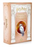 Harry Potter Magical Meditations — Libro
