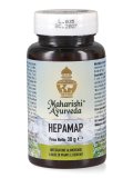 Hepamap