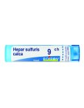 Hepar Sulfuris Calcareum 9CH Granuli Boiron