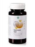 Hericium Gut