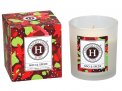 Himalaya Candle - Candela Vegetale in Cera di Soia