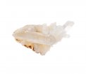 Himalayan Quartz Clusters - Drusa