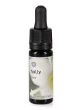 Holly- Dose