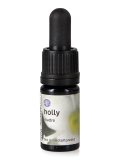 Holly Stock - Soluzione Madre