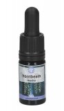 Hornbeam - Soluzione Madre