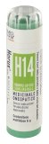 Horus H14 Gr