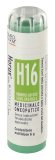 Horus H16 Gr
