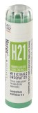 Horus H21 Gr