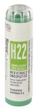 Horus H22 Gr