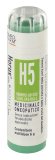 Horus H5 Gr