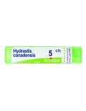 Hydrastis Canadiensis 5CH Granuli Boiron
