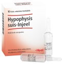 Hypophysis Suis-Injeel 10 Fiale