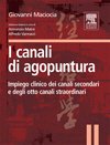 I Canali di Agopuntura   — Libro