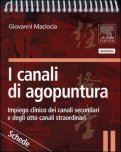 I Canali di Agopuntura - Schede — Libro