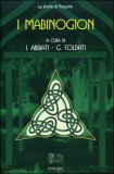 I Mabinogion — Libro
